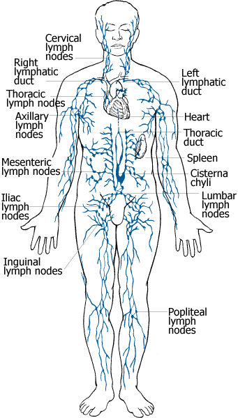 Szeretné otthon is kezelni a lymphoedema-t?